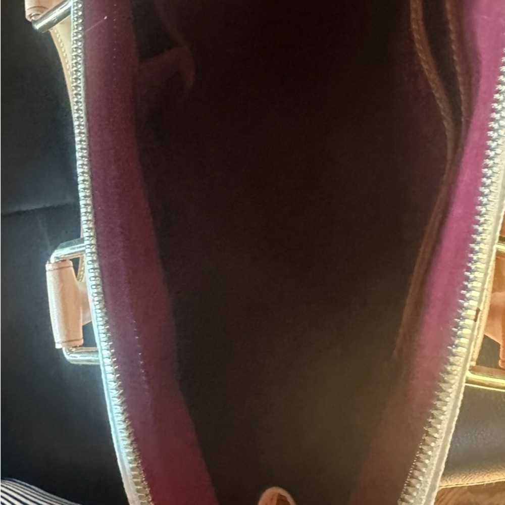 Authentic Lv Multicolored Alma Pm - image 7